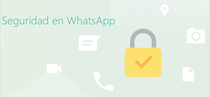 seguridad WhatsApp