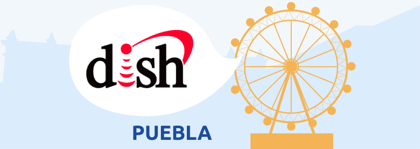 Dish Puebla